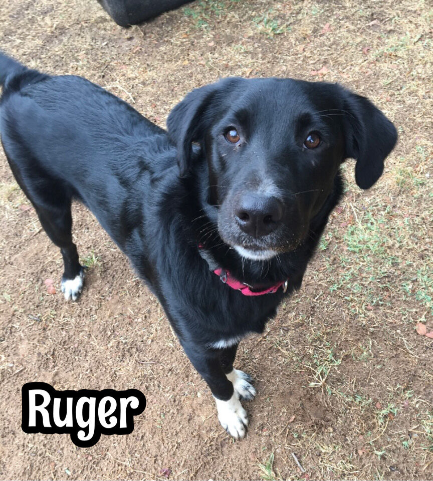 Ruger